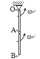 图示两均质细杆OA与AB铰接于A，在图示位置时，OA杆绕固定轴O转动的角速度为w，AB杆相对于OA杆