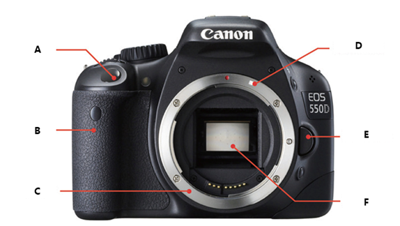 在相机机身正面中找到（）部分是安装镜头时必须将镜头和相机对准的地方，（）部分是安装和拆卸镜头时按的按