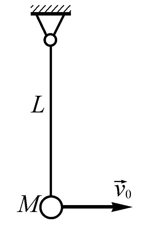 质量m=2kg的重物M挂在长L=0.5m的细绳下端，重物受到水平冲击后获得了速度v0=5（m/s），