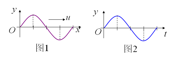 图①表示t=0时的余弦波的波形图，波沿x轴正向传播；图②为一余弦振动曲线.则图①中所表示的x=0处振