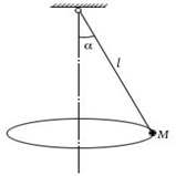 如图所示圆锥摆中，球的质量为M，绳长l，若角保持不变，则小球的法向加速度为 