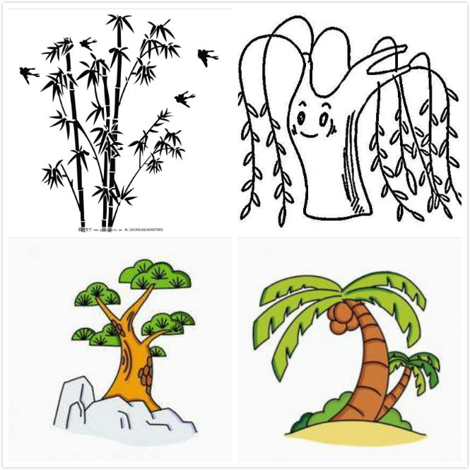 画出指定植物，共80分 [图]...画出指定植物，共80分 