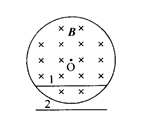 在圆柱形空间内有一均匀磁场，如图所示，在磁场内外各放有一长度相同的金属棒（在图中位置1、2处），当磁