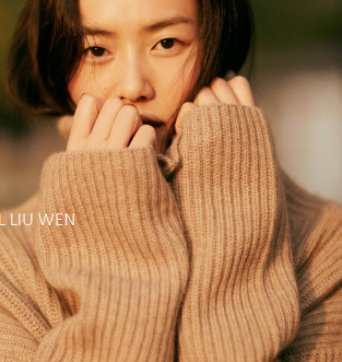 Which one is NOT Liu Wen’s work？