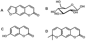 下列化合物中，可以与三氯化铁试剂显色的是： 