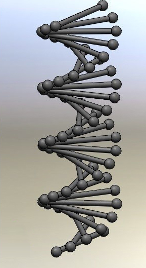 二、DNA分子链制作（注意：提交作业直接插入图片，不要上传附件 ） 