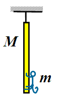 如图，一只质量为m的小猴，抱住了一根用绳吊在天花板上、质量为M的直杆，两者均静止。悬挂直杆的绳子突然