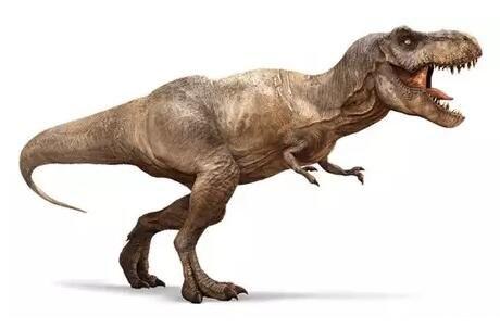 【单选题】该图是哪一种恐龙的复原图？ 