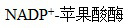 A、PEP羧化酶B、C、PEP羧激酶D、丙酮酸磷酸双激酶