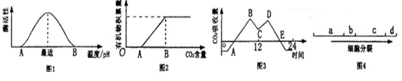 对下列四幅图的描述正确的是[图]A、图1中A、B两点，酶的...对下列四幅图的描述正确的是A、图1中