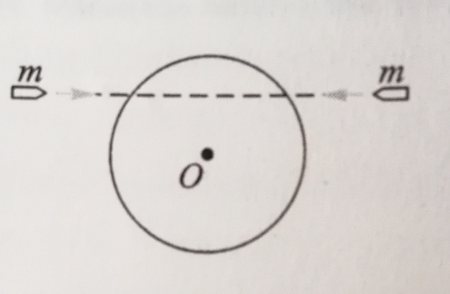 A circle plate frictionlessly rotates about a hori