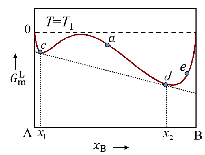 T1温度下A-B溶液的摩尔Gibbs自由能随浓度变化曲线如下所示，则下列描述错误的是：