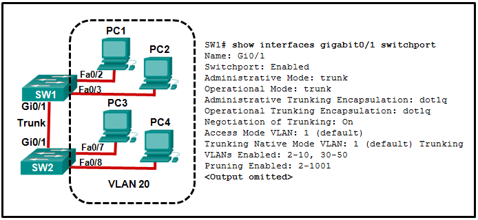 请参见图示。VLAN 20 中的所有工作站都已正确配置。交换机 SW1 所连接的工作站无法将流量发送