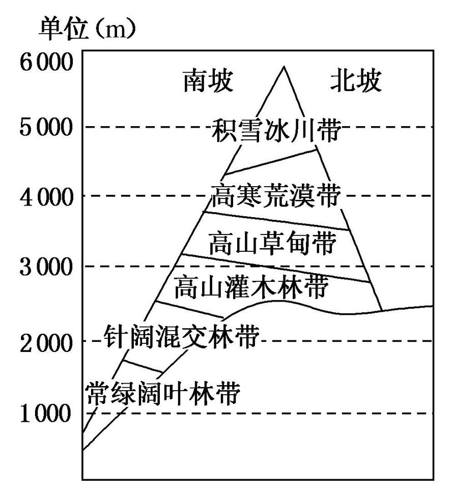 多肉植物是指植物的根,茎,叶器官中有一种或几种肥厚多.