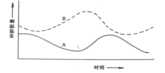 如果下图中A表示的是一种鹰在一个群落中的情况，那么B可能代表的是什么？  