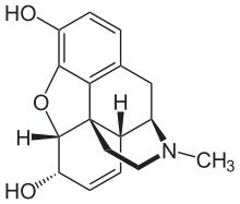 Alkaloids is one family of N-containing natural pr