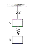 如图所示,质量相同的物块A和B用轻弹簧连接后,再用细绳悬挂着.在系统平衡后,突然将细绳剪断,则剪断后