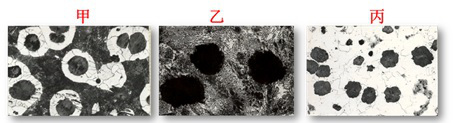 下图中灰铸铁的金属基体甲，乙，丙分别是_____。
