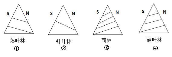 下图是山地垂直自然带分布图，图下文字表示基带类型，读图回答20-21题。  如果图中四座山海拔高度相