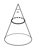 如图，一长为1m、质量为1kg的均匀链条静止在一表面光滑、顶角α = 60°的圆锥上，链条中的张力为