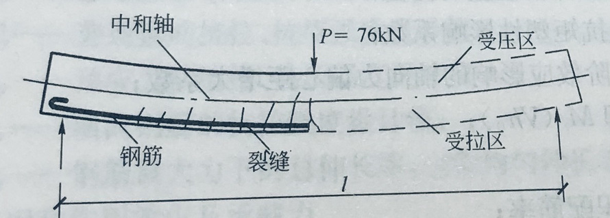  如图所示，钢筋混凝土梁中的纵向钢筋布置在梁的（）。