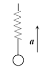 如图所示，提一根下端系着重物的轻弹簧，竖直向上作匀加速运动，当手突然停止运动的瞬间，物体将 
