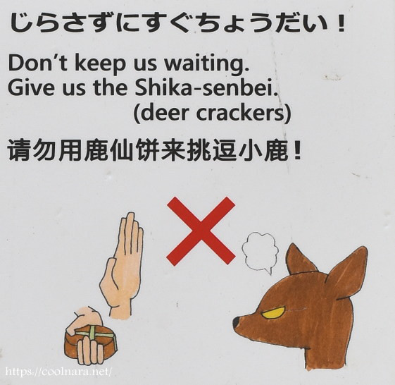 [图] 在奈良，游客如果用鹿仙饼挑逗小鹿，小鹿有可能生... 在奈良，游客如果用鹿仙饼挑逗小鹿，小鹿