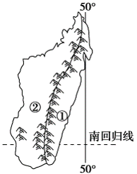 读图，图中岛屿两侧①②两种自然带的差异体现了（) [图]...读图，图中岛屿两侧①②两种自然带的差异