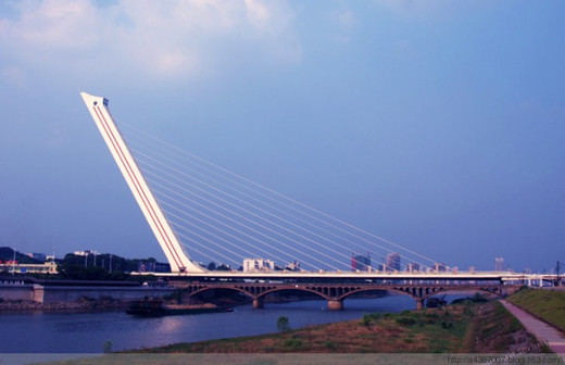 斜拉桥只有单索面和双索面两种形式.